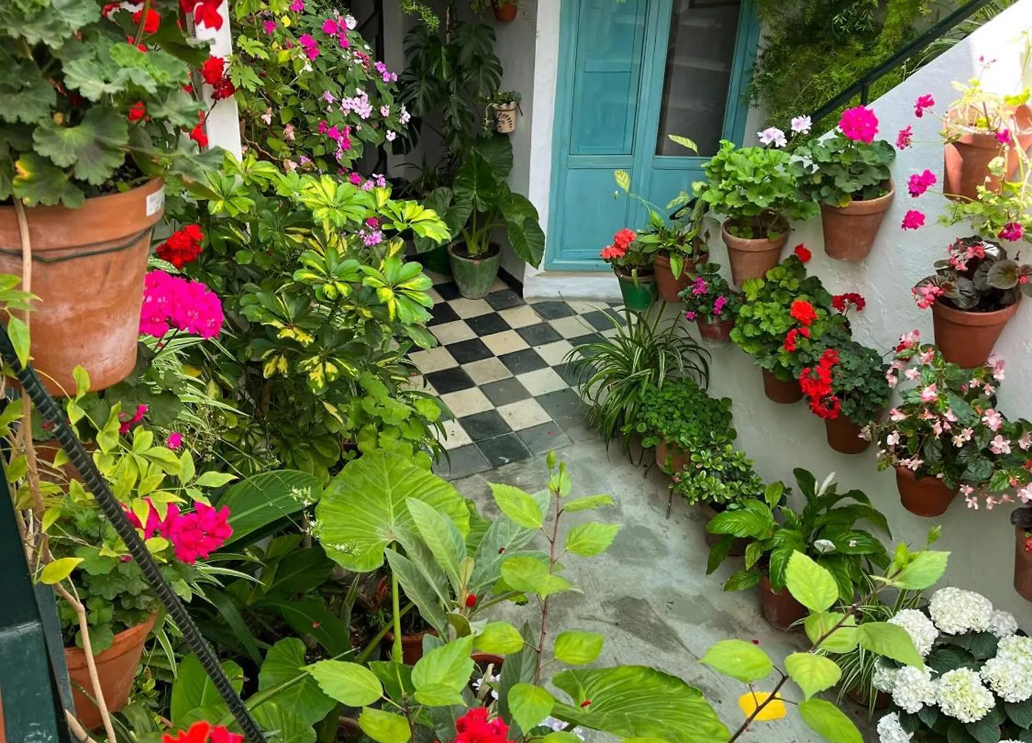 Apartamento La Muralla Vejer de la Frontera