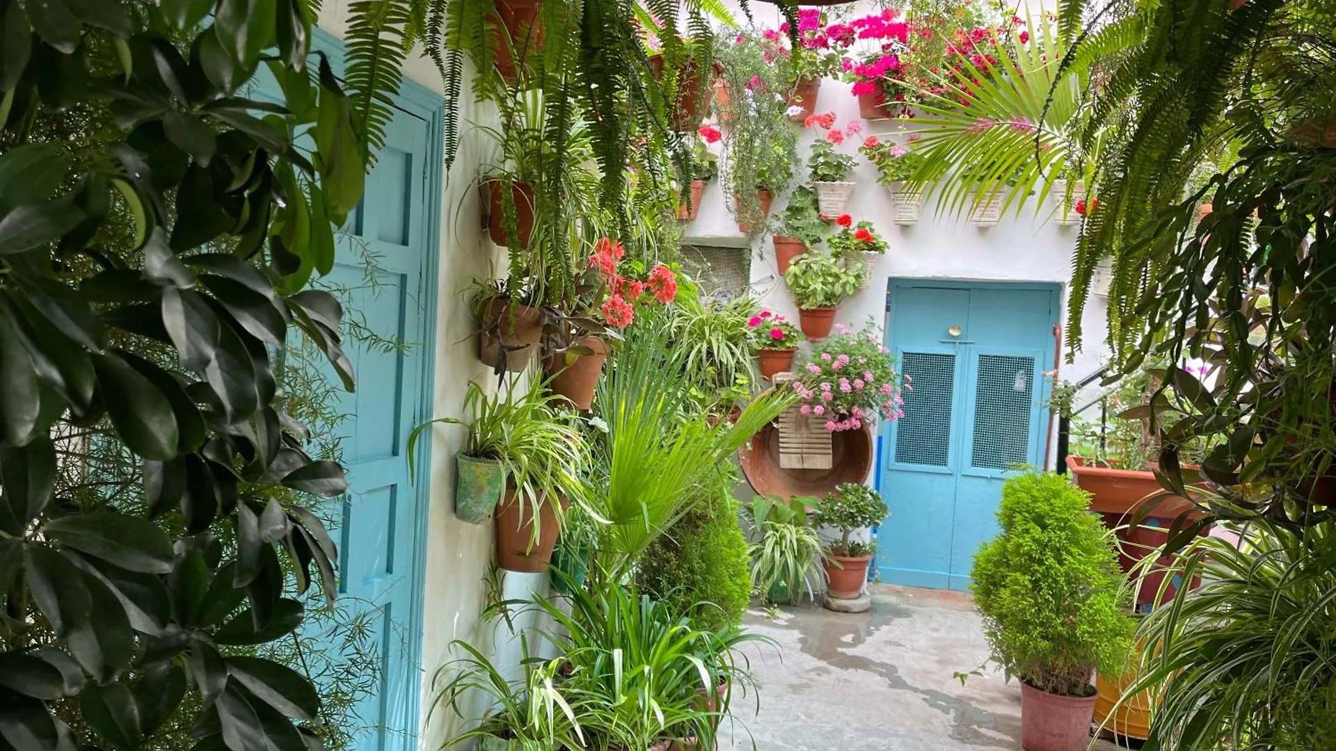 Apartamento La Muralla Vejer de la Frontera